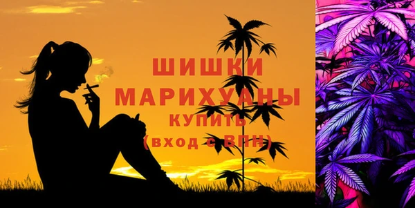 мдпв Горняк